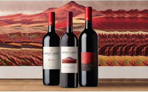 重慶涪陵智能溫室大棚助力葡萄產業發展